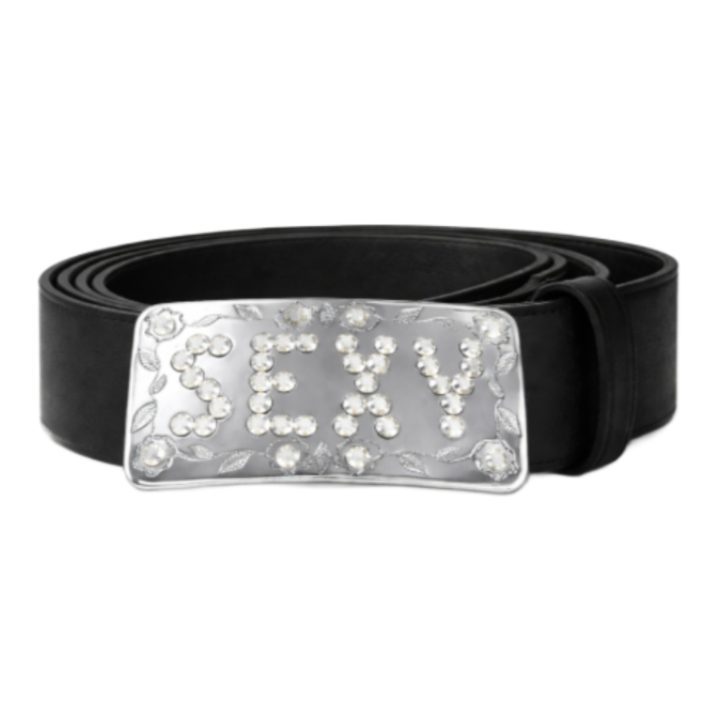 Rhinestone Belt Buckle Women's Elegant Fashion Style Attire