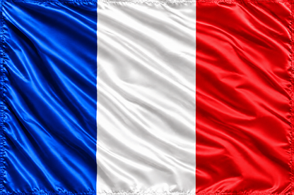 FRANCIA PAÍS NACIONAL FRANCÉS ONDEANDO LA BANDERA DEL POLO DE FÚTBOL