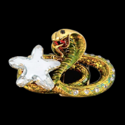 Hebilla de cinturón con estrella de diamantes de imitación, serpiente, reptil, serpiente
