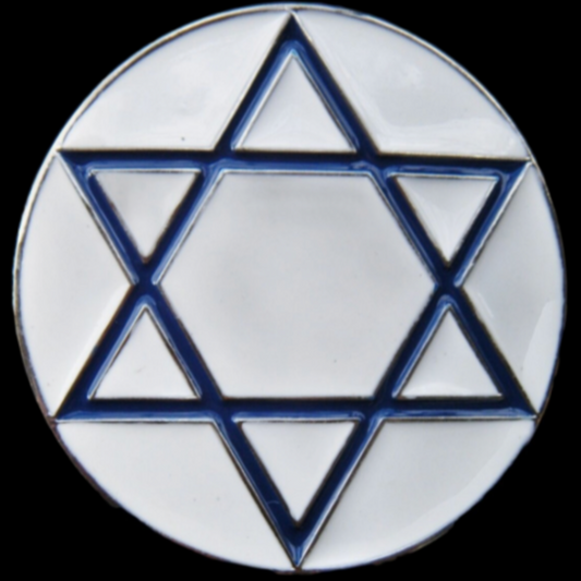 David Star Israel Jewish Hebrew Flag Belt Buckle