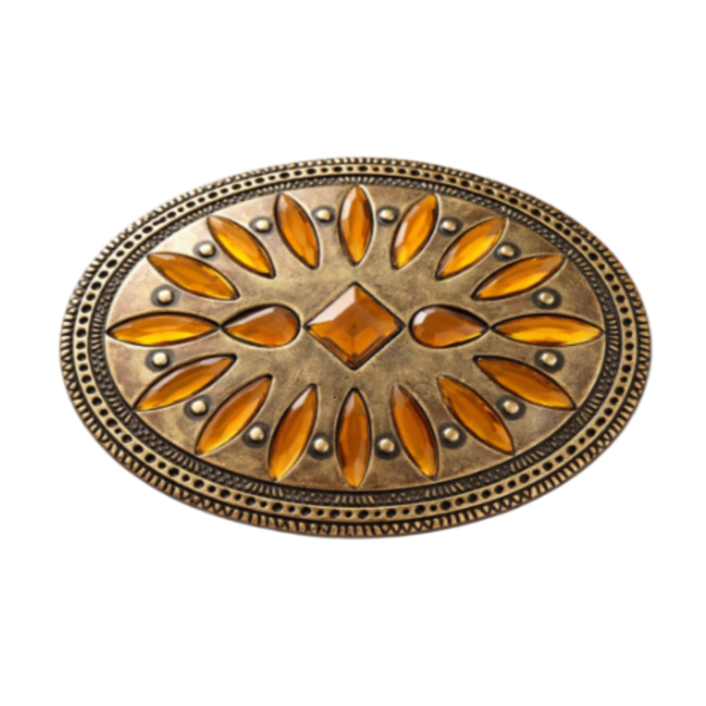Flower Brown Rhinestone Stones Women's Fashion Western Belt Buckle