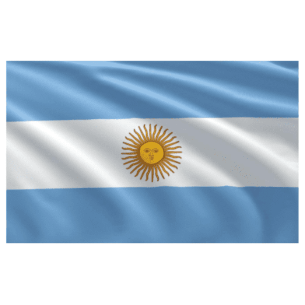 Argentine Pays National Argentin Agitant Un Poteau Avec Grand Drapeau Football