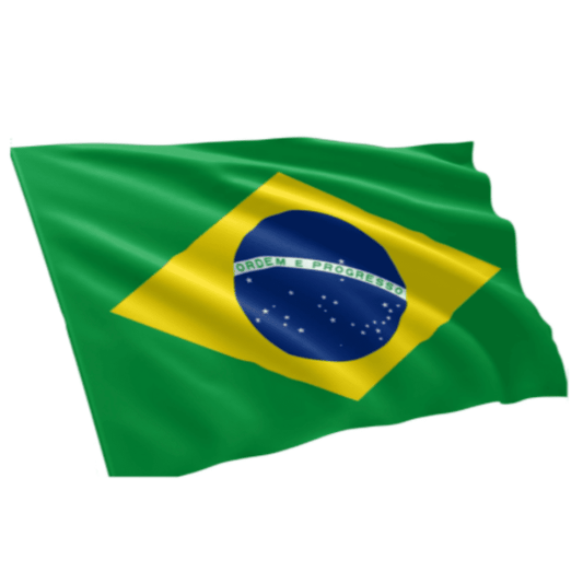 BRAZIL BRAZILIAN NATIONAL COUNTRY WAVING POLE FLAG SOCCER