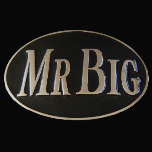 Mr Big Shot The Boss Cool Gangster Belt Buckle