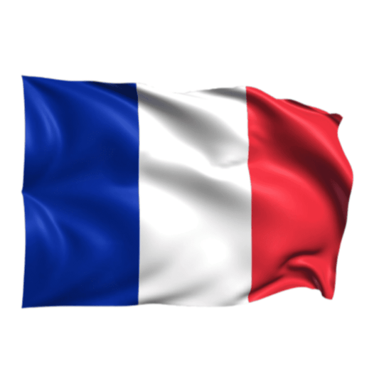 FRANCE FRENCH NATIONAL COUNTRY WAVING POLE FLAG SOCCER