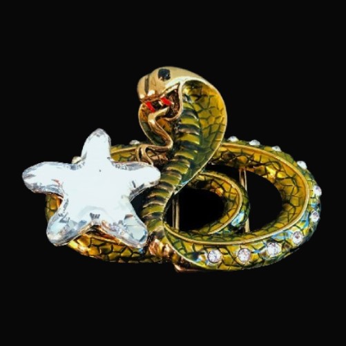 Hebilla de cinturón con estrella de diamantes de imitación, serpiente, reptil, serpiente